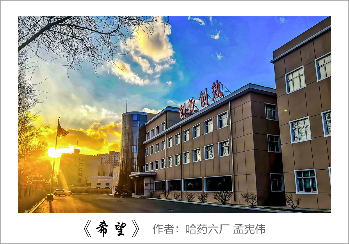 【迎國慶 展風(fēng)采】我眼中的哈藥&mdash;&mdash;職工攝影大賽作品展示！